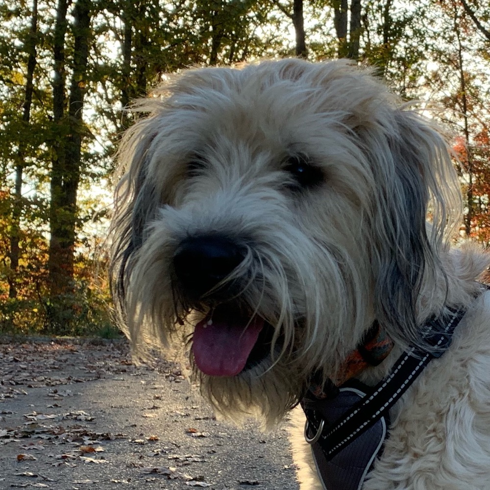 Meet your Posher, Emory